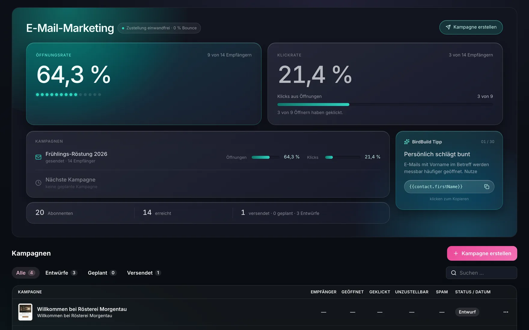 BirdBuild E-Mail-Marketing – Analytics und Kampagnen